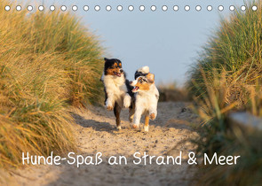 Hunde-Spaß an Strand & Meer (Tischkalender 2023 DIN A5 quer) von Mirsberger,  Annett