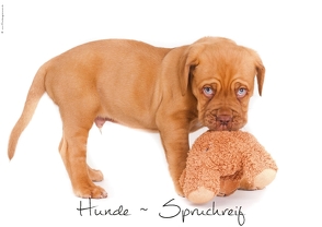 Hunde-Spruchreif (Posterbuch DIN A2 quer) von Hundeimpressionen Anja Kiefer,  ©