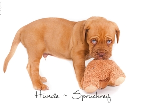 Hunde-Spruchreif (Tischaufsteller DIN A5 quer) von Hundeimpressionen Anja Kiefer,  ©