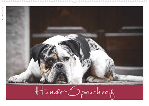 Hunde-Spruchreif (Wandkalender 2023 DIN A2 quer) von Hundeimpressionen Anja Kiefer,  ©