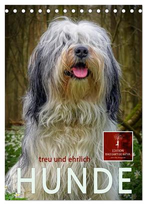 Hunde – treu und ehrlich (Tischkalender 2024 DIN A5 hoch), CALVENDO Monatskalender von Roder,  Peter