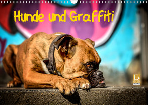 Hunde und Graffiti (Wandkalender 2023 DIN A3 quer) von Janetzek,  Yvonne