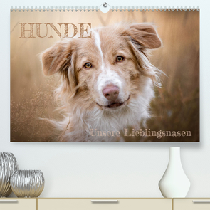 Hunde – Unsere Lieblingsnasen (Premium, hochwertiger DIN A2 Wandkalender 2024, Kunstdruck in Hochglanz) von Andreas Kossmann,  Tierfotografie