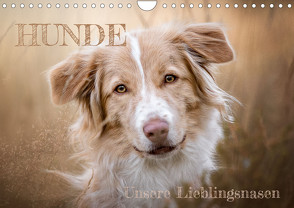 Hunde – Unsere Lieblingsnasen (Wandkalender 2024 DIN A4 quer) von Andreas Kossmann,  Tierfotografie