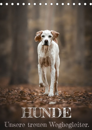 Hunde – Unsere treuen Wegbegleiter. (Tischkalender 2023 DIN A5 hoch) von Andreas Kossmann,  Tierfotografie