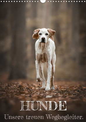 Hunde – Unsere treuen Wegbegleiter. (Wandkalender 2023 DIN A3 hoch) von Andreas Kossmann,  Tierfotografie