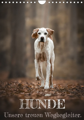 Hunde – Unsere treuen Wegbegleiter. (Wandkalender 2023 DIN A4 hoch) von Andreas Kossmann,  Tierfotografie