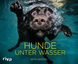 Hunde unter Wasser von Casteel,  Seth