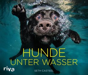 Hunde unter Wasser von Casteel,  Seth