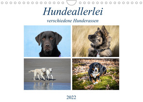 Hundeallerlei (Wandkalender 2022 DIN A4 quer) von SchnelleWelten