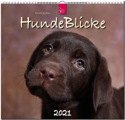 HundeBlicke von Hutfluss,  Jeanette