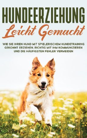 Hundeerziehung leicht gemacht: Wie Sie Ihren Hund mit spielerischem Hundetraining gekonnt erziehen, richtig mit ihm kommunizieren und die häufigsten Fehler vermeiden von Knabe,  Martin