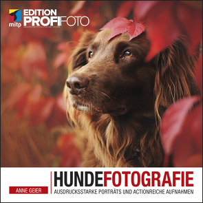 Hundefotografie von Geier,  Anne