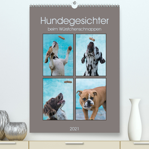 Hundegesichter beim Würstchenschnappen (Premium, hochwertiger DIN A2 Wandkalender 2021, Kunstdruck in Hochglanz) von Teßen,  Sonja