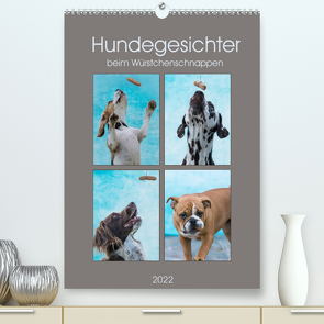 Hundegesichter beim Würstchenschnappen (Premium, hochwertiger DIN A2 Wandkalender 2022, Kunstdruck in Hochglanz) von Teßen,  Sonja