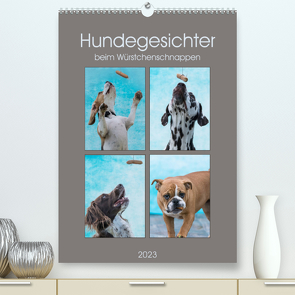 Hundegesichter beim Würstchenschnappen (Premium, hochwertiger DIN A2 Wandkalender 2023, Kunstdruck in Hochglanz) von Teßen,  Sonja