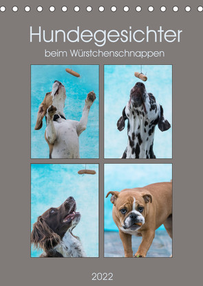 Hundegesichter beim Würstchenschnappen (Tischkalender 2022 DIN A5 hoch) von Teßen,  Sonja