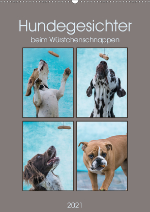 Hundegesichter beim Würstchenschnappen (Wandkalender 2021 DIN A2 hoch) von Teßen,  Sonja