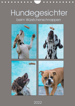 Hundegesichter beim Würstchenschnappen (Wandkalender 2022 DIN A4 hoch) von Teßen,  Sonja