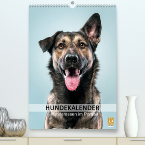 Hundekalender – Hunderassen im Portrait (Premium, hochwertiger DIN A2 Wandkalender 2022, Kunstdruck in Hochglanz) von Maxi Sängerlaub,  HIGHLIGHT.photo