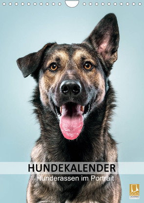 Hundekalender – Hunderassen im Portrait (Wandkalender 2022 DIN A4 hoch) von Maxi Sängerlaub,  HIGHLIGHT.photo