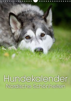 Hundekalender – Nordische Schönheiten (Wandkalender immerwährend DIN A3 hoch) von Noack,  Nicole