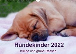 Hundekinder 2022 – Kleine und große Rassen (Wandkalender 2022 DIN A3 quer) von Bollich,  Heidi