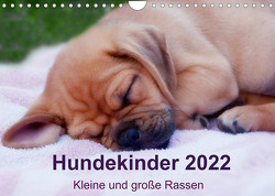 Hundekinder 2022 – Kleine und große Rassen (Wandkalender 2022 DIN A4 quer) von Bollich,  Heidi