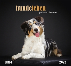 Hundeleben 2022 – DUMONT Wandkalender – mit den wichtigsten Feiertagen – Format 38,0 x 35,5 cm