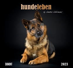 Hundeleben 2023 – DUMONT Wandkalender – mit den wichtigsten Feiertagen – Format 38,0 x 35,5 cm