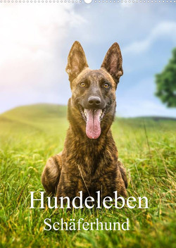 Hundeleben Schäferhund (Wandkalender 2023 DIN A2 hoch) von Schuberts-Fotografie