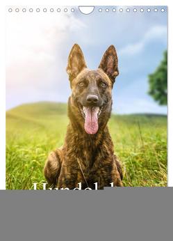 Hundeleben Schäferhund (Wandkalender 2024 DIN A4 hoch), CALVENDO Monatskalender von Schuberts-Fotografie,  Schuberts-Fotografie