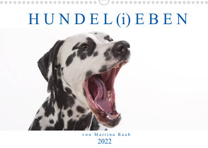 HUNDEL(i)EBEN (Wandkalender 2022 DIN A3 quer) von Raab,  Martina