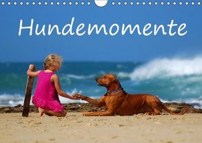 Hundemomente (Wandkalender 2019 DIN A4 quer) von van Wyk - www.germanpix.net,  Anke