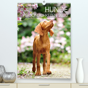 Hundepersönlichkeiten (Premium, hochwertiger DIN A2 Wandkalender 2020, Kunstdruck in Hochglanz) von dogARTig