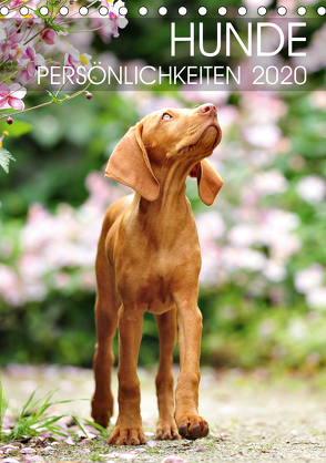 Hundepersönlichkeiten (Tischkalender 2020 DIN A5 hoch) von dogARTig