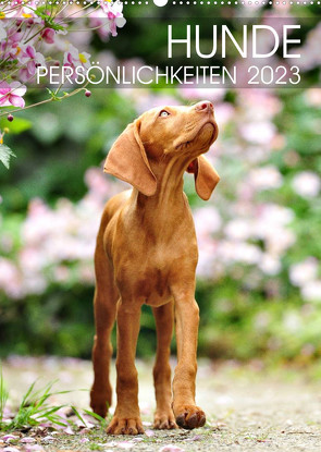 Hundepersönlichkeiten (Wandkalender 2023 DIN A2 hoch) von dogARTig