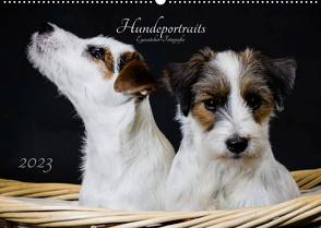 Hundeportraits Eyecatcher-Fotografie (Wandkalender 2023 DIN A2 quer) von Heggemann,  Christiane