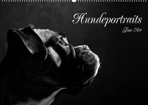 Hundeportraits Fine Art (Wandkalender 2022 DIN A2 quer) von Behr,  Jana