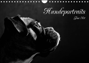 Hundeportraits Fine Art (Wandkalender 2022 DIN A4 quer) von Behr,  Jana