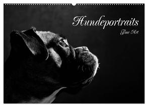 Hundeportraits Fine Art (Wandkalender 2024 DIN A2 quer), CALVENDO Monatskalender von Behr,  Jana