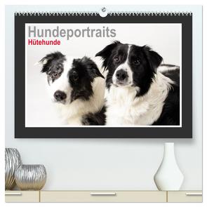 Hundeportraits – Hütehunde (hochwertiger Premium Wandkalender 2024 DIN A2 quer), Kunstdruck in Hochglanz von Hahn,  Jasmin