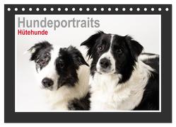 Hundeportraits – Hütehunde (Tischkalender 2024 DIN A5 quer), CALVENDO Monatskalender von Hahn,  Jasmin