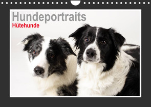 Hundeportraits – Hütehunde (Wandkalender 2023 DIN A4 quer) von Hahn,  Jasmin
