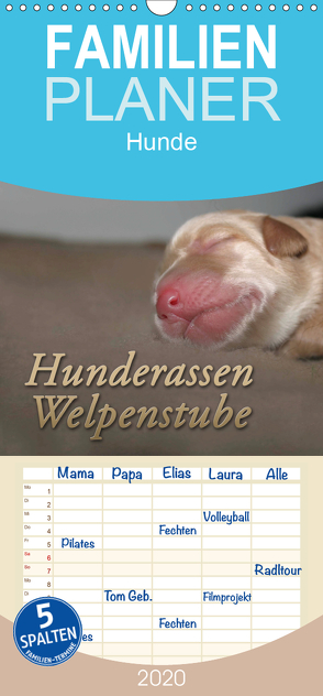 Hunderassen – Welpenstube – Familienplaner hoch (Wandkalender 2020 , 21 cm x 45 cm, hoch) von Mielewczyk,  Barbara