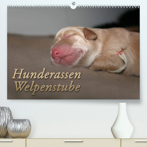 Hunderassen – Welpenstube (Premium, hochwertiger DIN A2 Wandkalender 2022, Kunstdruck in Hochglanz) von Mielewczyk,  Barbara