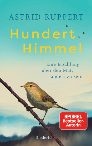 Hundert Himmel von Ruppert,  Astrid