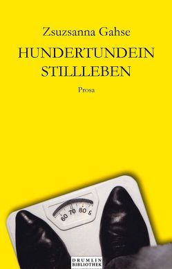 Hundertundein Stillleben von Gahse,  Zsuzsanna