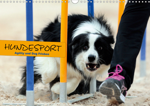 HUNDESPORT – Agility und Dog Frisbee (Wandkalender 2021 DIN A3 quer) von Rähse,  Constanze