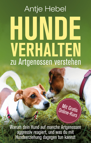 Hundeverhalten zu Artgenossen verstehen von Antje,  Hebel